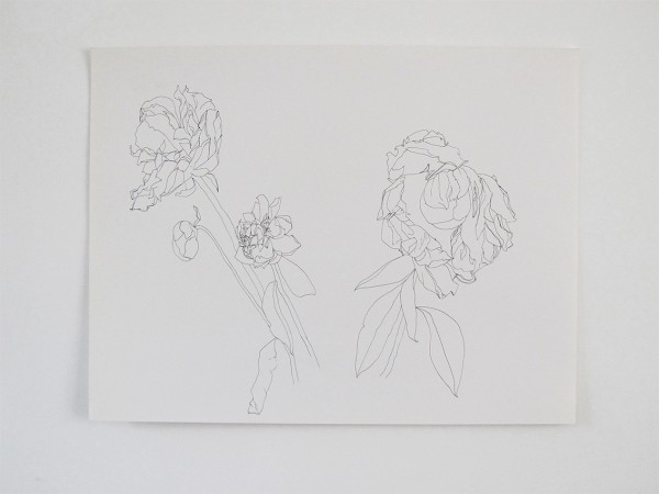 Frondaison #012 50x65, encre de chine sur papier canson.