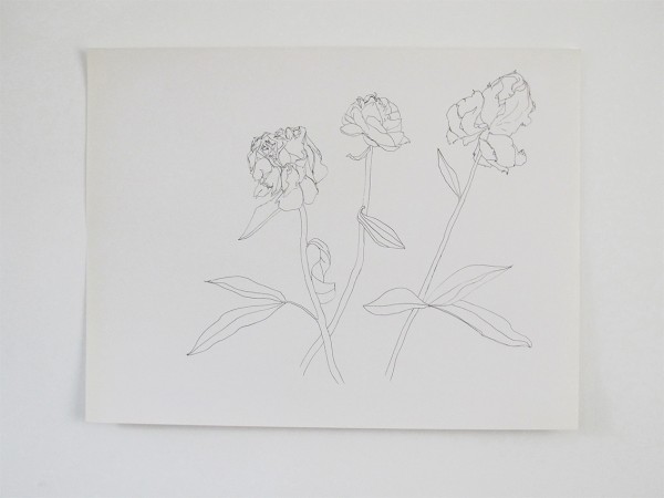 Frondaison #05 50x65, encre de chine sur papier canson.