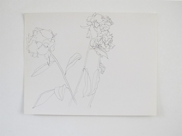 Frondaison #07 50x65, encre de chine sur papier canson.