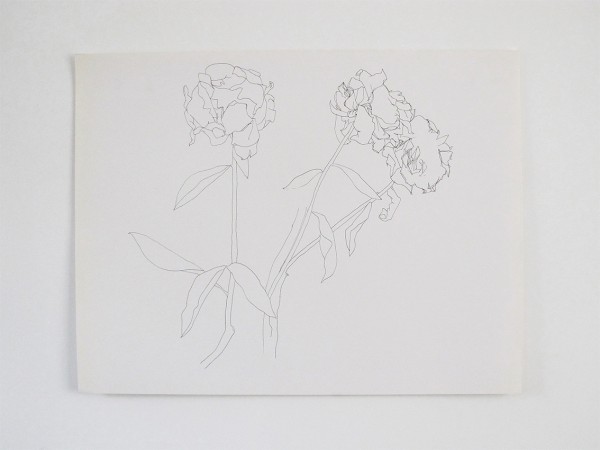 Frondaison #09 50x65, encre de chine sur papier canson.
